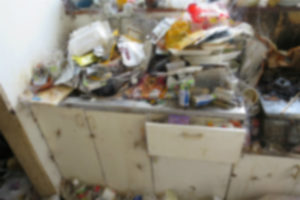 ゴミ屋敷